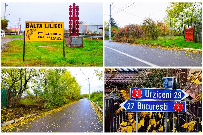 Lilieci, Sinesti, Judet Ialomita, Strada Dealului nr.1