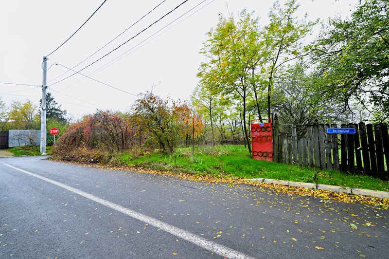 Lilieci, Sinesti, Judet Ialomita, Strada Dealului nr.1