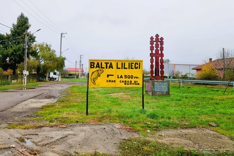 Lilieci, Sinesti, Judet Ialomita, Strada Dealului nr.1