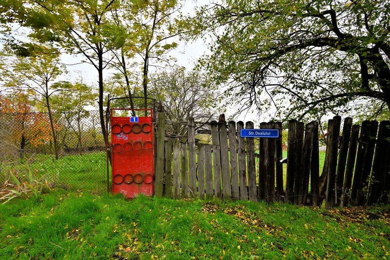 Lilieci, Sinesti, Judet Ialomita, Strada Dealului nr.1