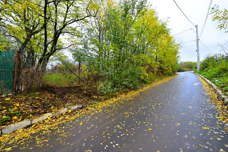 Lilieci, Sinesti, Judet Ialomita, Strada Dealului nr.1