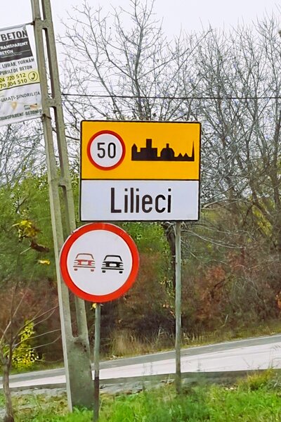 Lilieci, Sinesti, Judet Ialomita, Strada Dealului nr.1