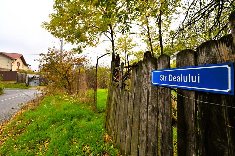 Lilieci, Sinesti, Judet Ialomita, Strada Dealului nr.1